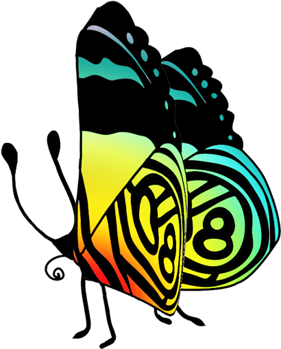 Black Butterfly Drawing - Butterfly (491x531)