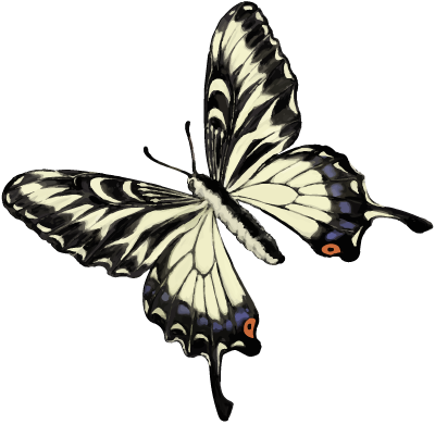 201601 Swallowtail Butterfly - Butterflies Png (400x390)