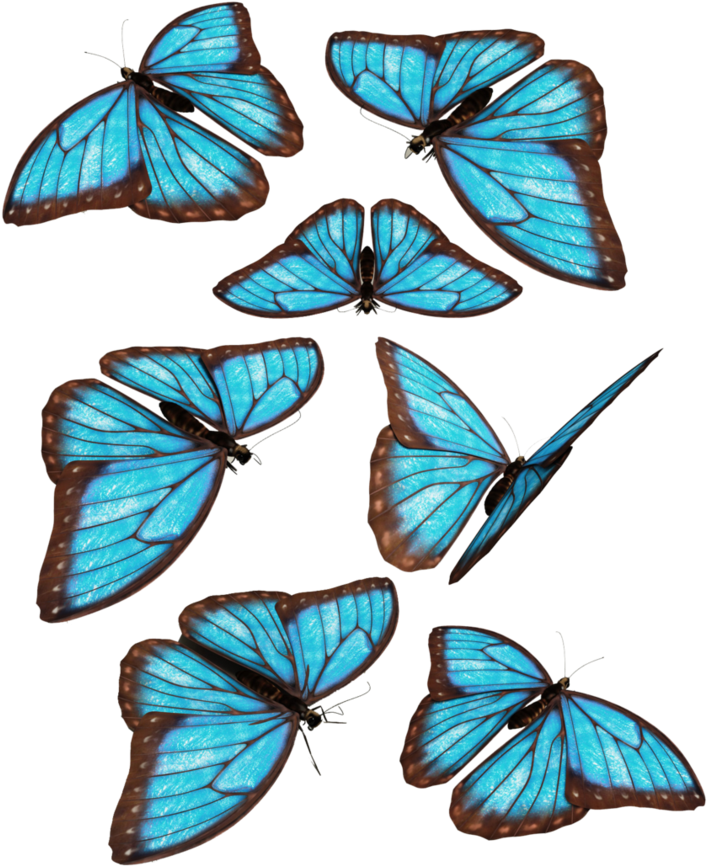 Blue Butterflies By Darkadathea - Group Of Blue Butterfly (758x1054)