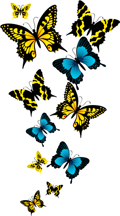 Beautiful Butterfly In Group Transparent Background - Png Format Butterfly Png Background (732x812)
