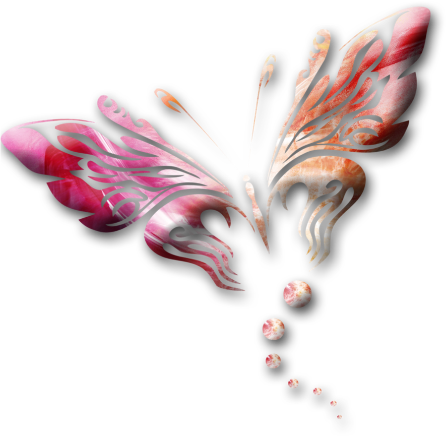 Pink Butterfly Clipart Png - Mariposa Png (894x894)
