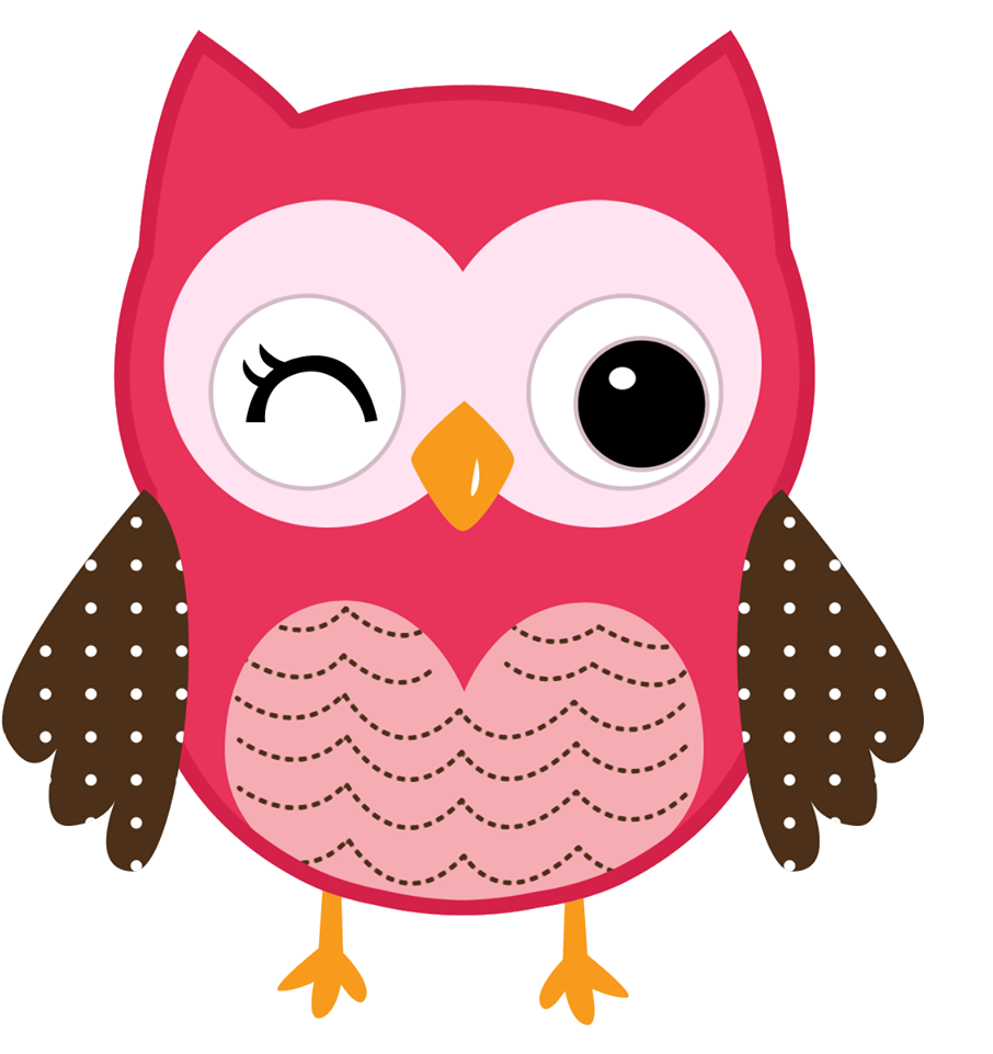 Esta Corujinha De Pelúcia - Pink Owl Baby Blanket (960x960)