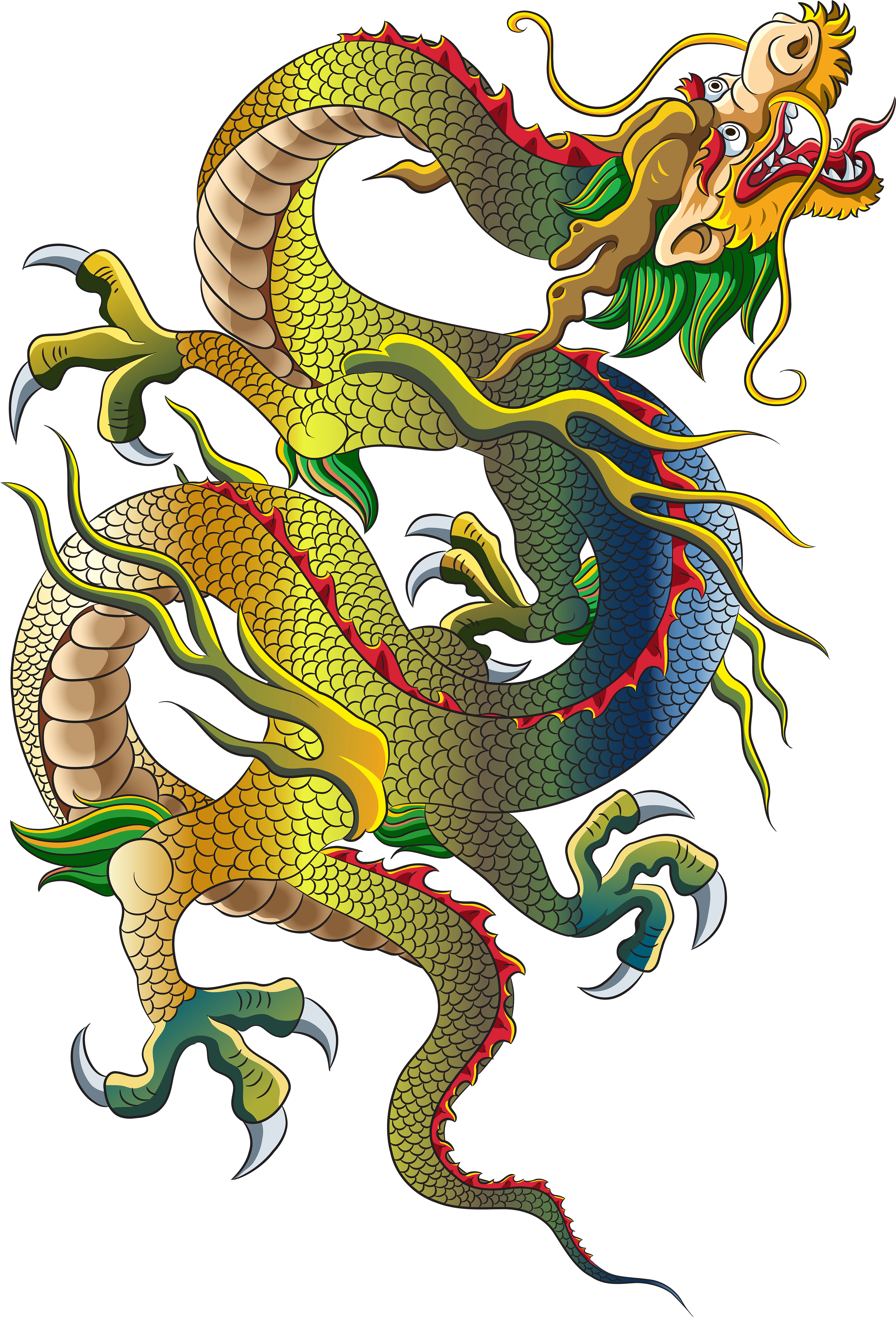 Chinese Dragon Clipart Transparent - รูป วาด มังกร จีน (3411x5000)