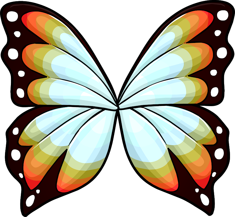Schmetterlingsflügel Muster (800x738)