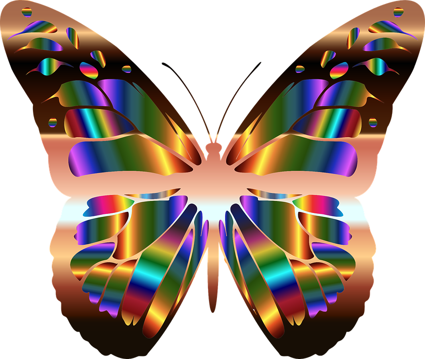 Butterfly Wings Cliparts 11, Buy Clip Art - Abstrakter Schmetterling Auf Taschenspiegel (852x720)