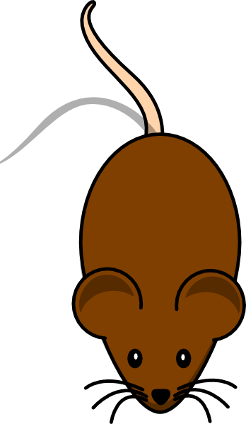 Small Animal Cliparts - Mouse Clip Art (348x599)