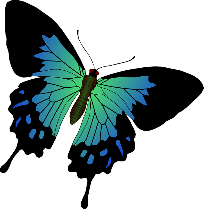 Butterfly Graphics Free 27, Buy Clip Art - ผีเสื้อ เวก เตอร์ (702x720)
