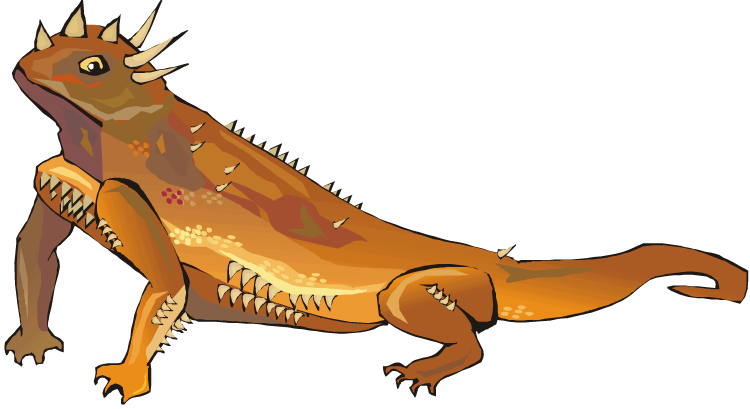 Image - Horned Lizard Png (750x409)