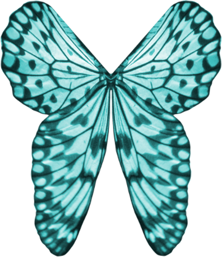 Wings Clipart Light Blue - Butterfly (433x500)