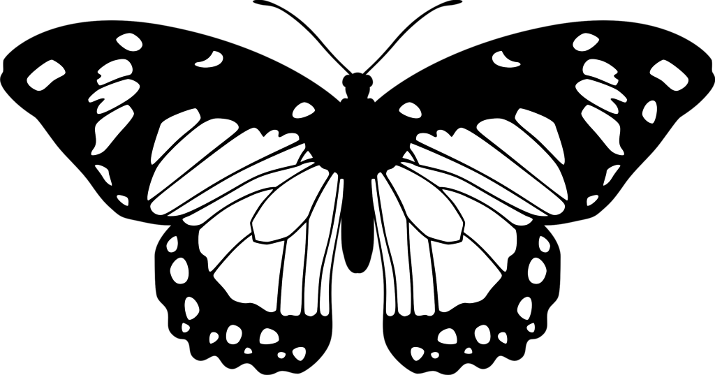 Butterfly By Eiluvision On Deviantart - Butterfly Black And White (1024x537)