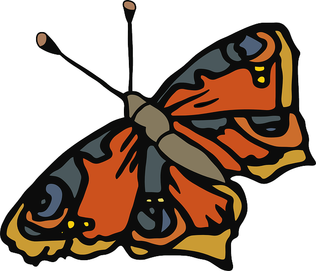 Pattern, Cartoon, Butterfly, Wings, Insect, Identical - Butterfly Clip Art (640x549)