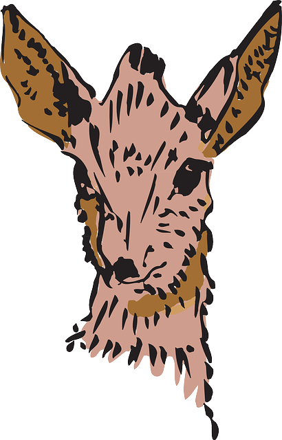Animal Head, Brown, Drawing, Art, Forest, Horns, Animal - Antelope (410x640)