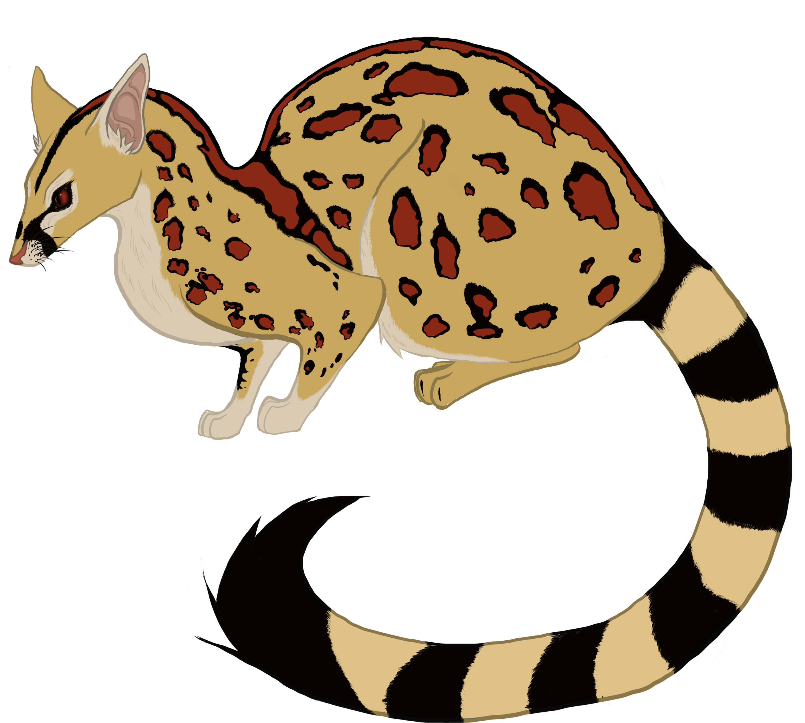 Genet Civet Carnivora Animal Clip Art - Genet Civet Carnivora Animal Clip Art (3300x2550)