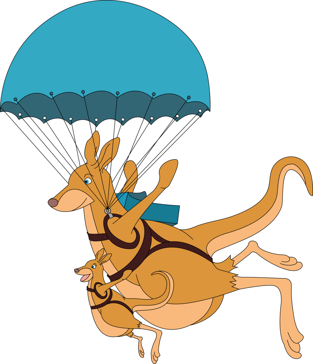 Parachuting Kangaroos - Parachuting Kangaroos (1000x1166)