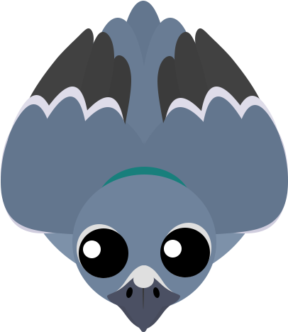 Rarely, Pigeons, Can Spawn White-colored, And Have - Wiki (500x500)