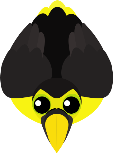 Toucan (500x502)
