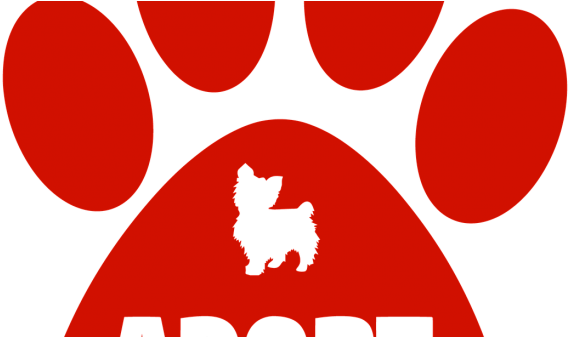 23 Things To Consider When Adopting Or Rescuing A German - Adopt A Dog Throw Blanket (702x336)