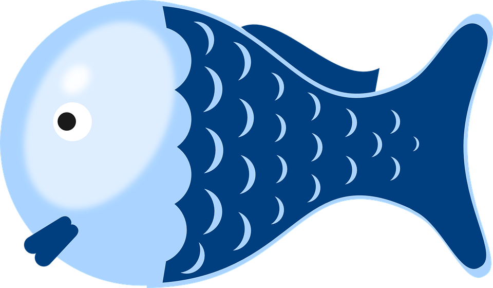 Jelly Fish Clipart 23, - รูป ปลา การ์ตูน น่า รัก (960x560)