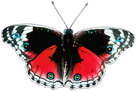 Animal Butterflies Butterfly Insect Butter - Butterflies And Bullets By Trisha Sugarek 9781450591942 (514x340)