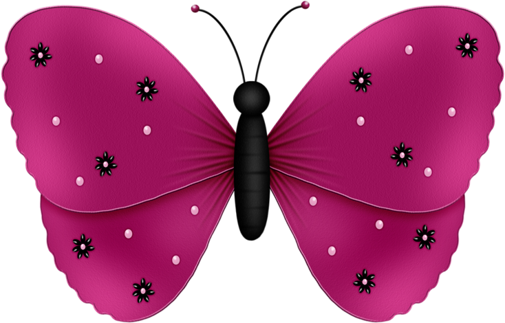 Butterfly Butterflies & Insects Clip Art - Butterfly Butterflies & Insects Clip Art (800x635)