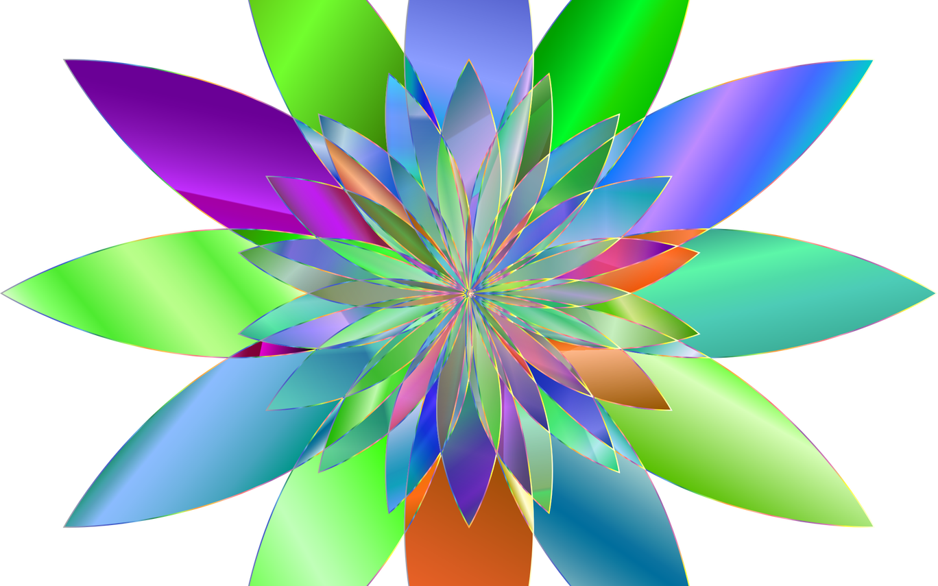 Flower No Background Clipart Clip Art Library - Flower (1368x855)
