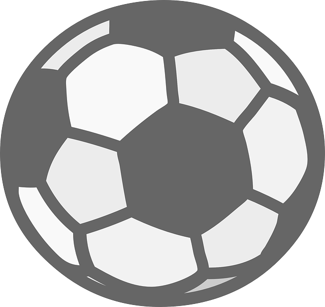 Sports Ball, Football, Soccer, Sports - Soccer Ball White Png (640x603)