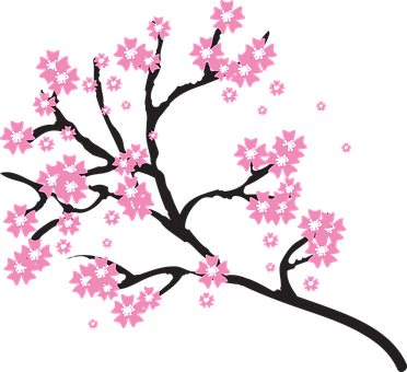 Blossoms Branch Cherry Floral Flowers Natu - Cherry Blossom Tree Clipart (372x340)