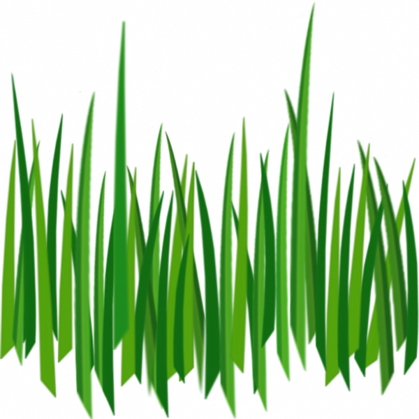 Grass Png Image, Green Grass Png Picture - Grass 2d Png (600x600)