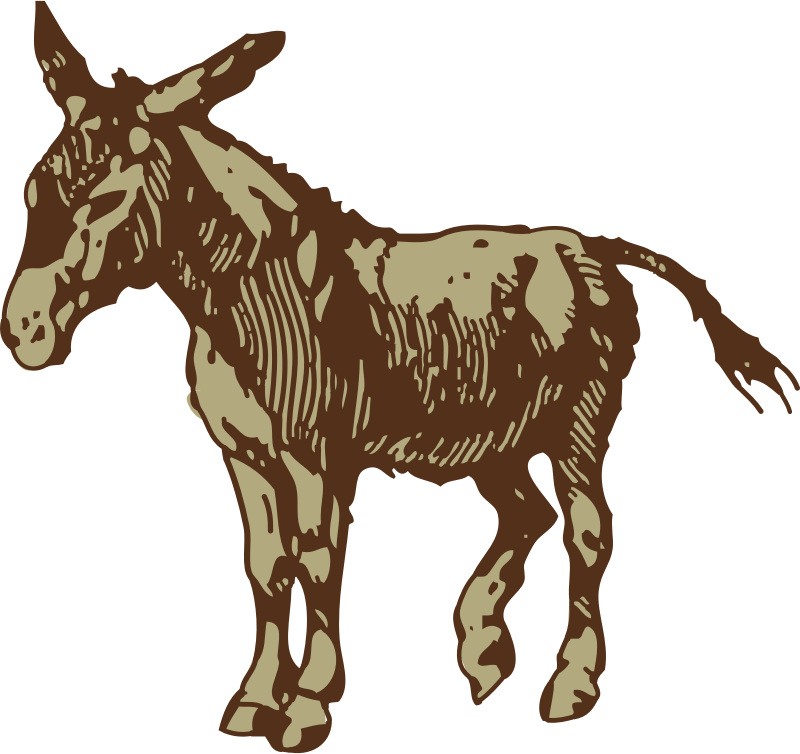 Donkey Free Png Transparent Background Images Free - Royalty Free Donkey (800x754)