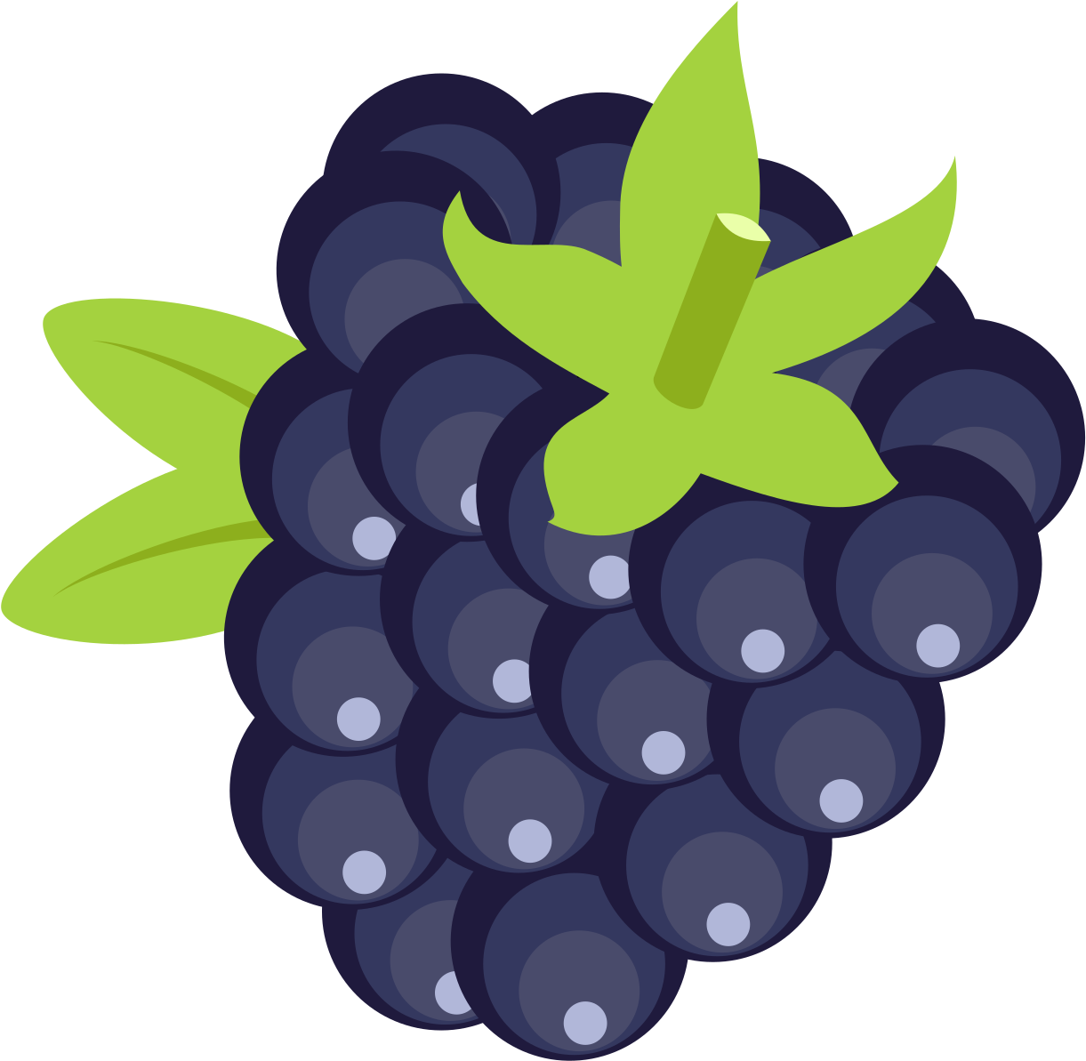 Download Png Image Report - Blackberry Clipart Png (2400x2292)