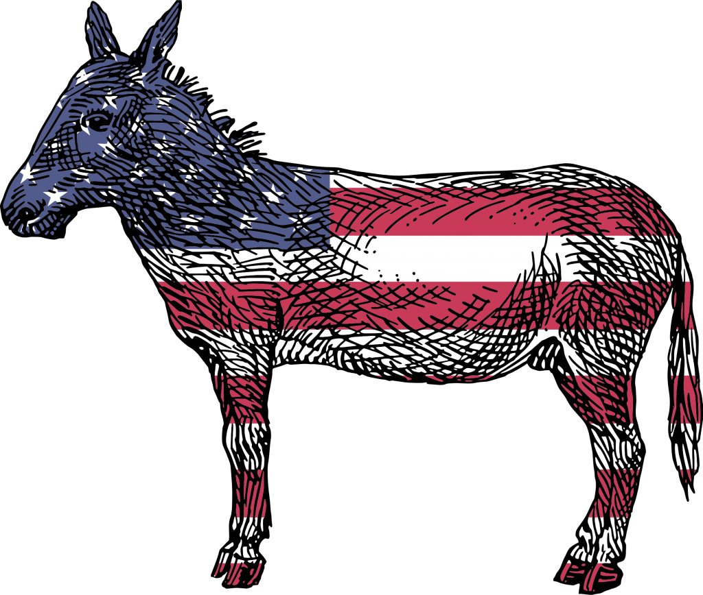 Donkey Free Png Transparent Background Images Free - Reasons To Vote For Democrats: A Comprehensive Guide (1024x868)