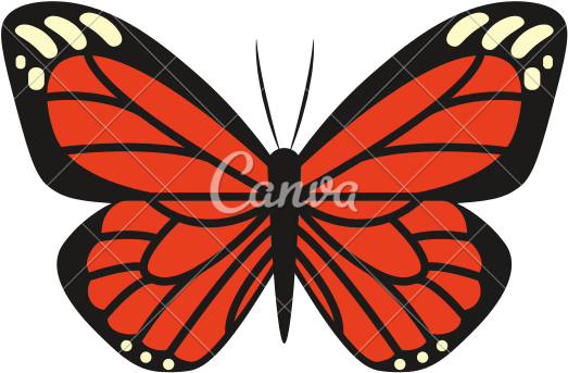 Cartoon Monarch Butterfly - Cartoon Monarch Butterfly (550x550)