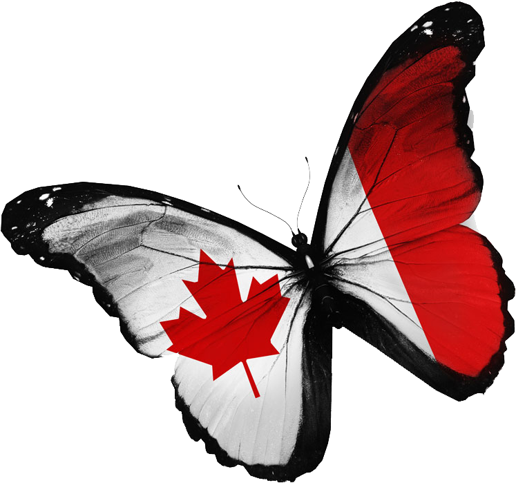 Flag Of Canada Stock Photography National Flag - Flag Of Canada Stock Photography National Flag (1000x912)