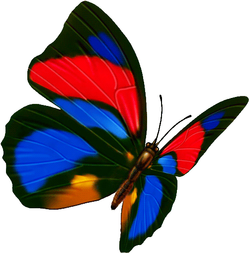 Butterfly Transparency And Translucency Icon - Butterfly Transparency And Translucency Icon (600x600)