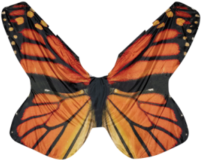 Digital Wings - Monarch Butterfly Immigration Symbol (300x428)