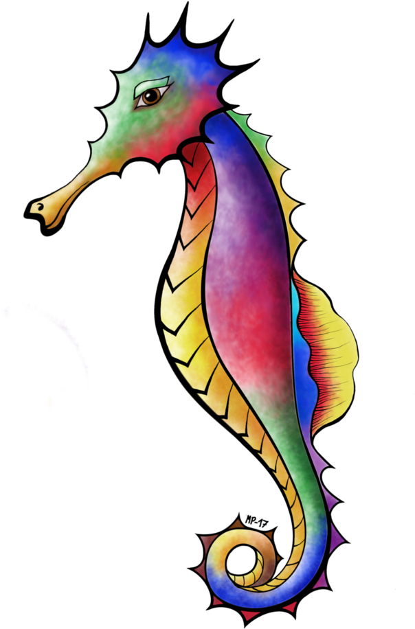 Seahorse Drawing Colorful - Northern Seahorse (754x1059)
