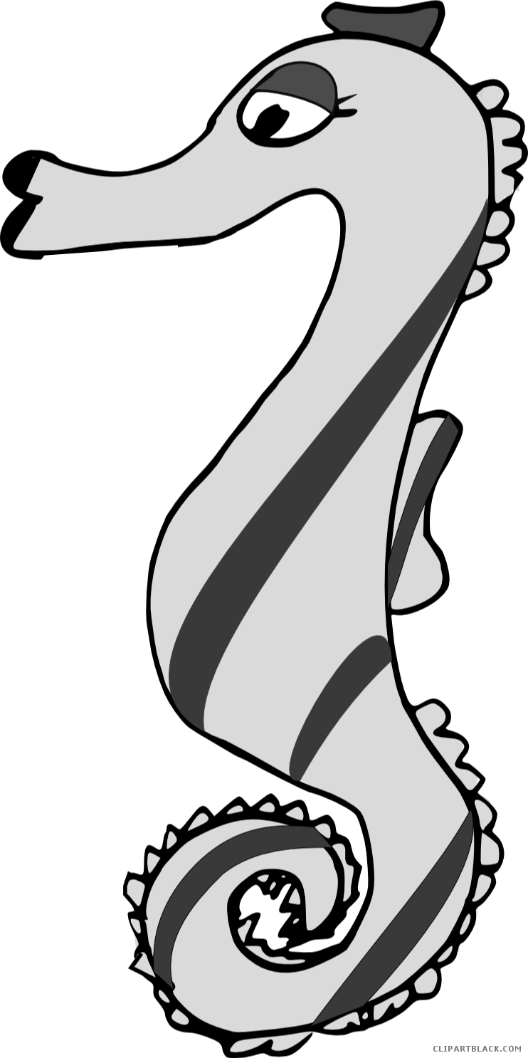 Seahorse Animal Free Black White Clipart Images Clipartblack - Clip Art (742x1486)