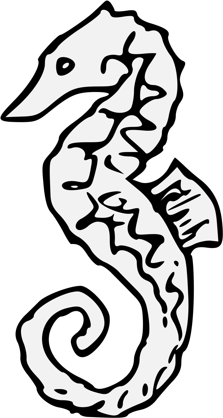 Sea Horse - Seahorse (750x1395)