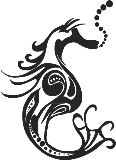 Photo - "sea Horse Diamond Beach" (530x535)