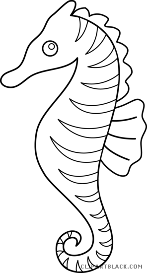 Seahorse Outline Animal Free Black White Clipart Images - Clip Art Sea Horse (296x550)