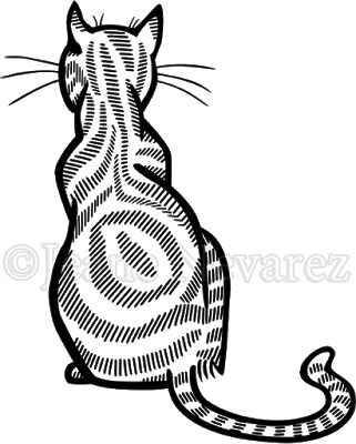 One With Marbled Stripes - Drawing (321x400)