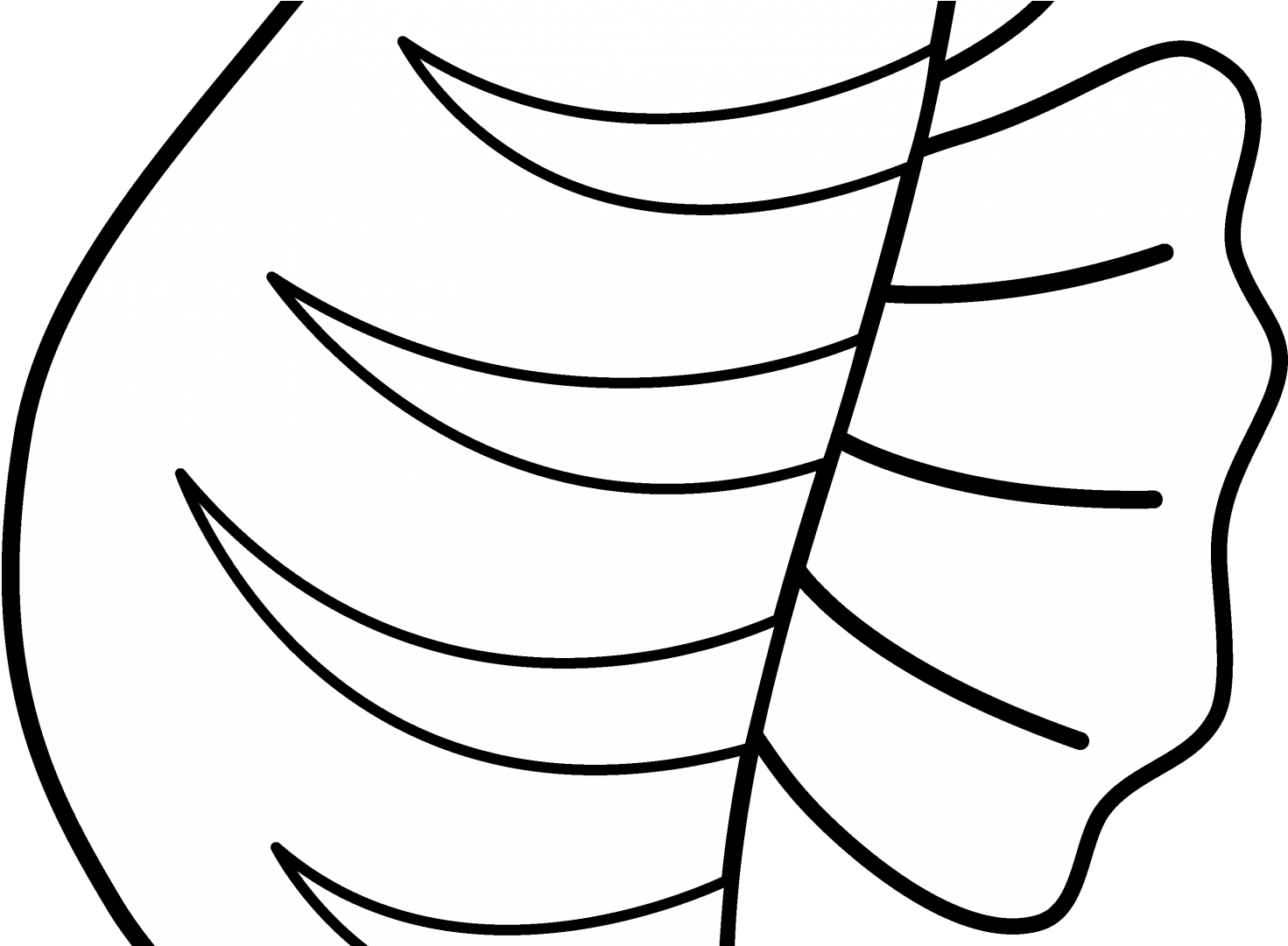 Brilliant Seahorse Coloring Pages In Color Seahorses - Clip Art (1920x1080)