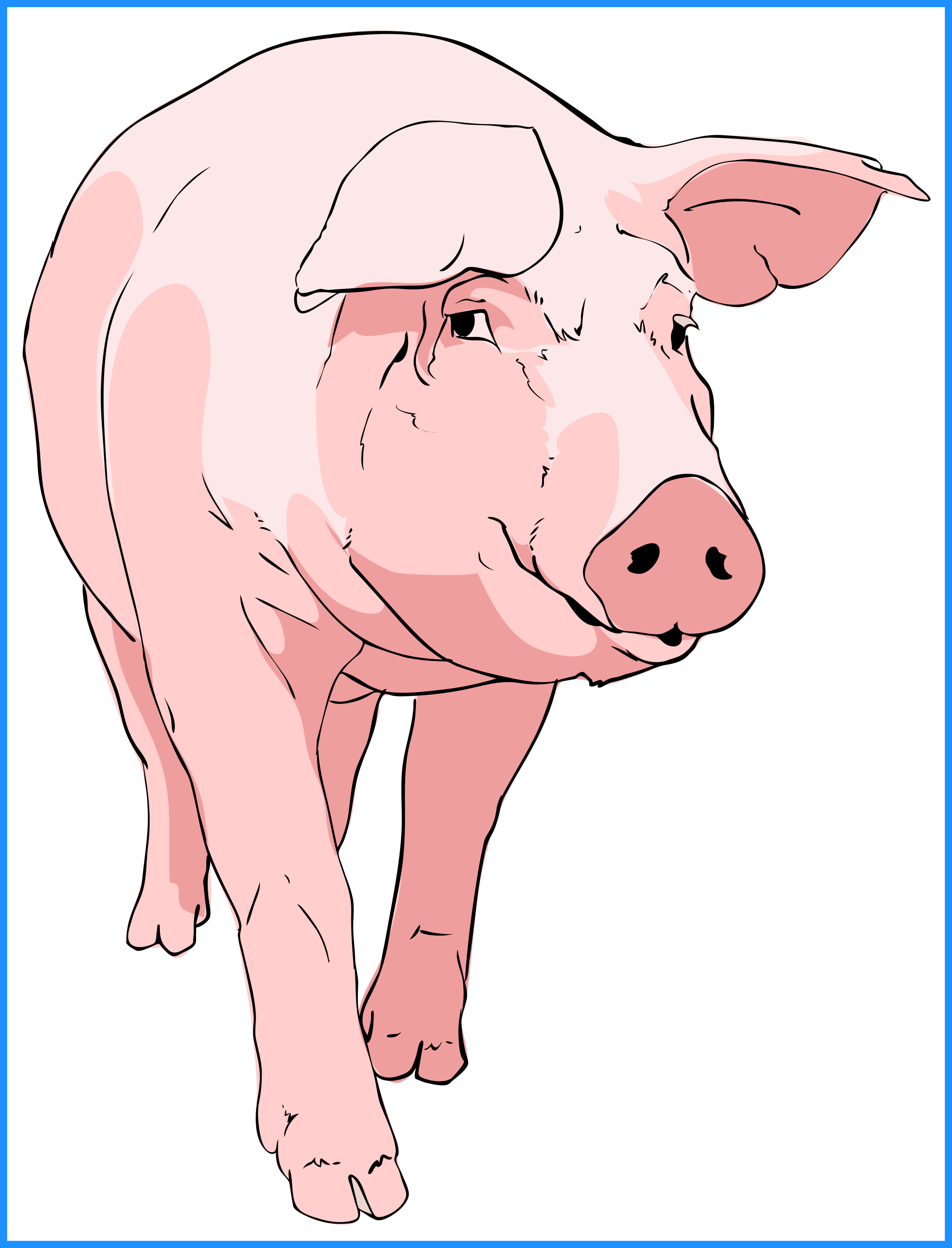 Shocking Classy Ideas Pig Clipart Animated Black And - Clip Art (2030x2660)