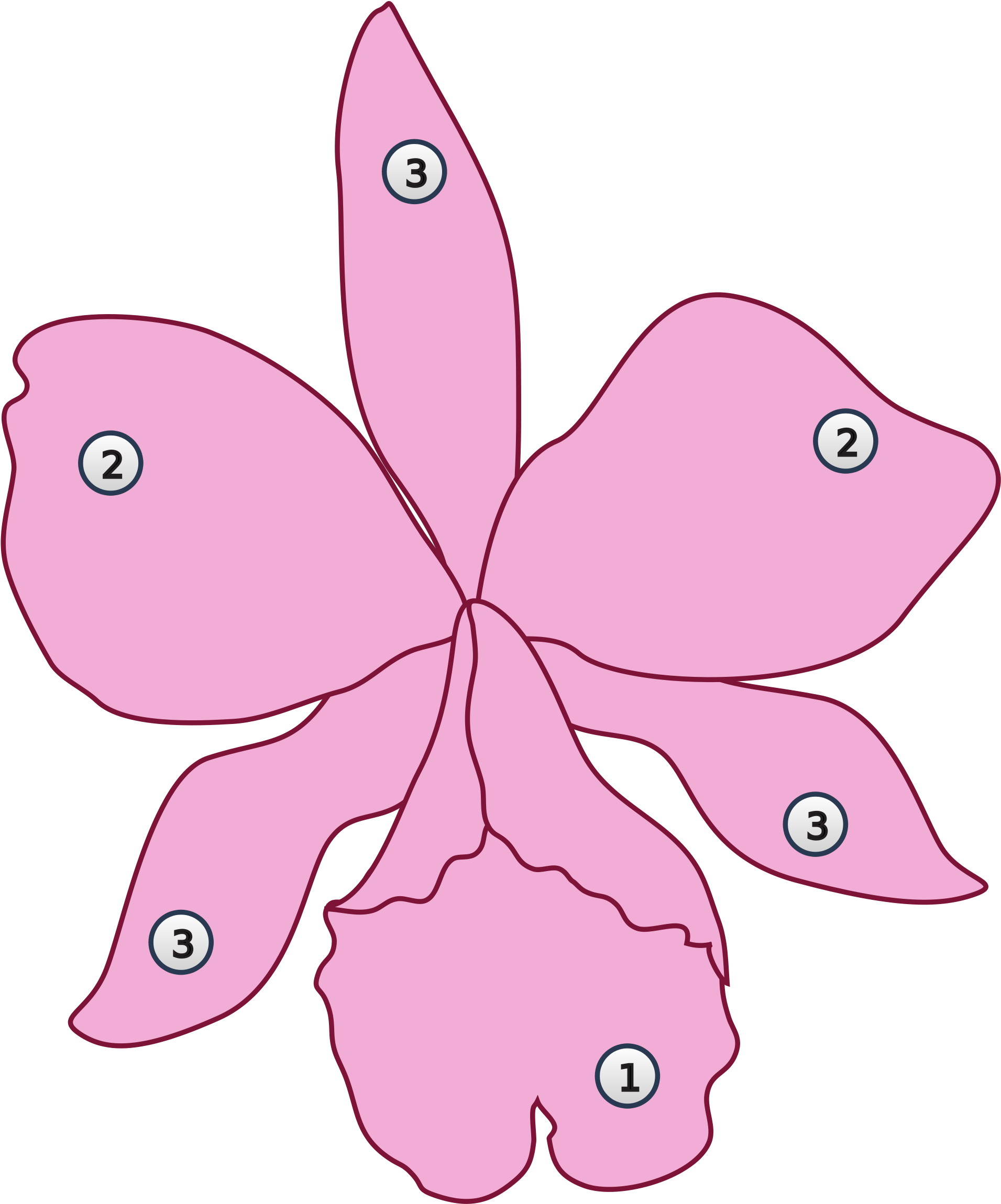 Cute Pig Clipart 19, - Labellum (2000x2348)