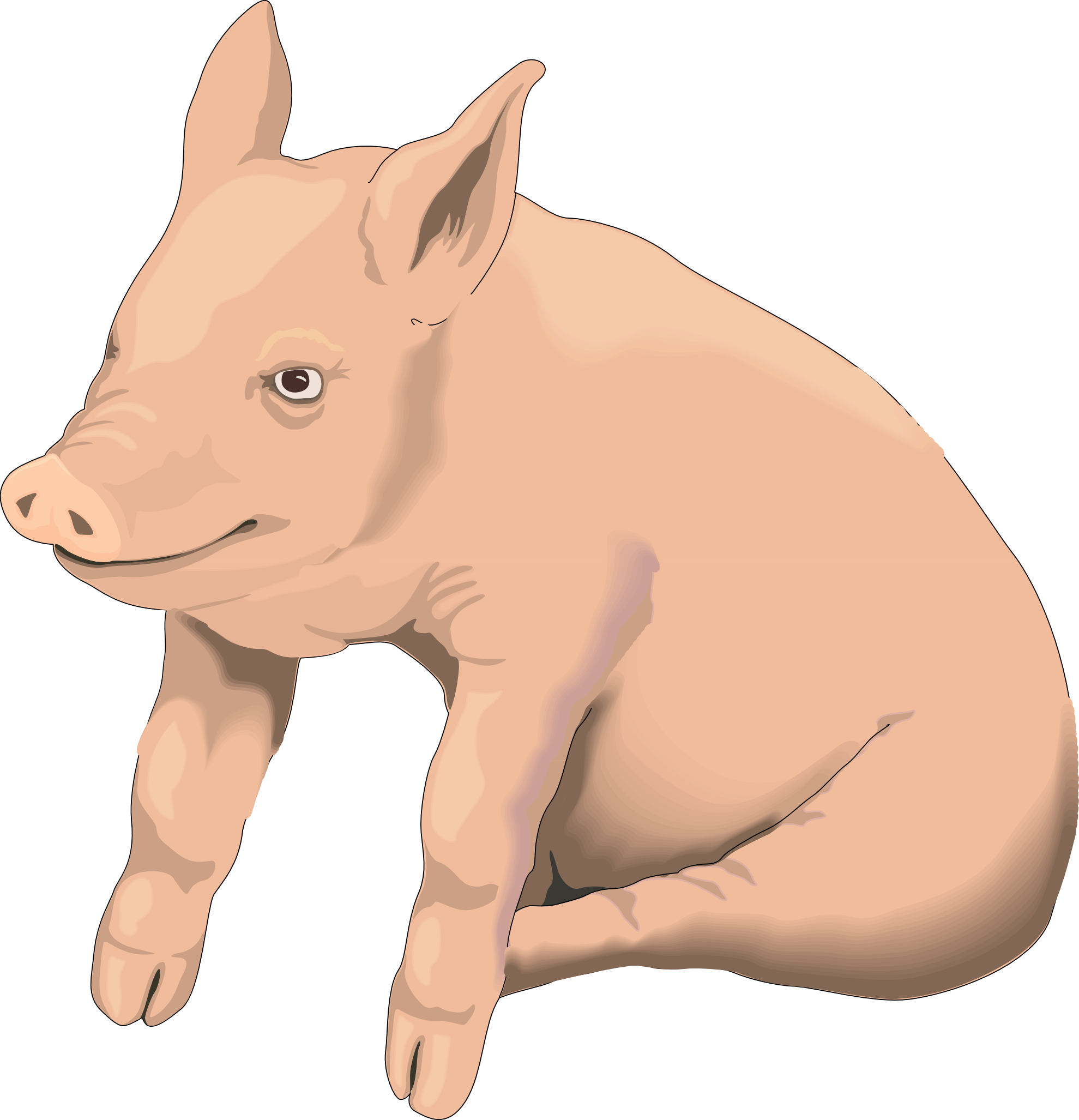 Goat Clipart Images And Photos - Pig Clipart Transparent Background (1979x2054)