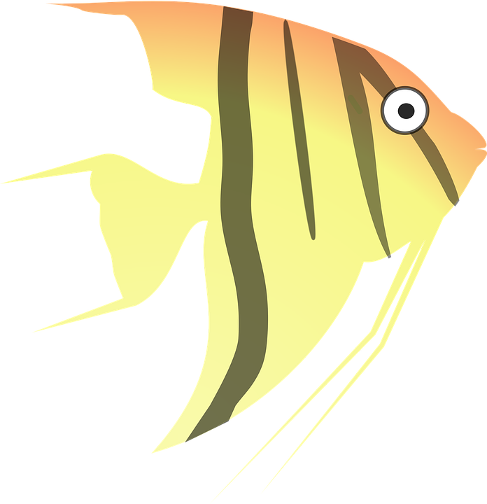 Tropical Fish Clipart 24, Buy Clip Art - Angel Fish Cartoon (696x720)