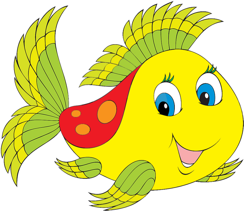 Peces De Colores - Fish Clipart (806x700)