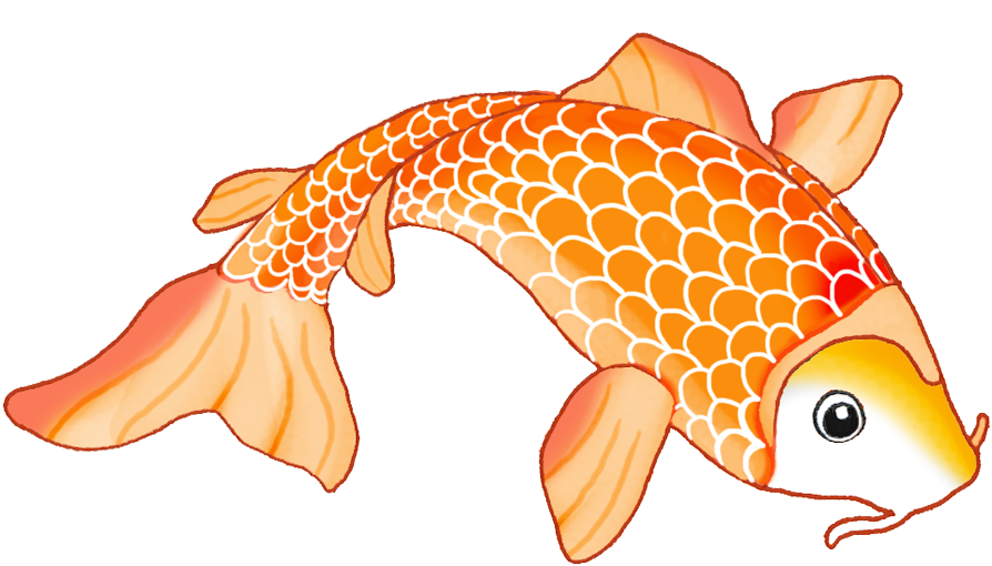 Sketch Of Orange Koi Fish - Koi Fish Drawing (1004x637)