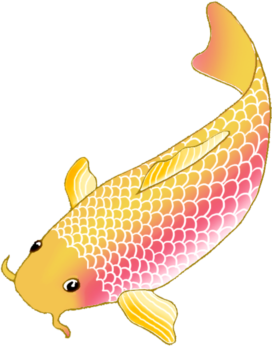 Koi Fish Sketch Orange - Koi Fish Clipart Png (650x825)