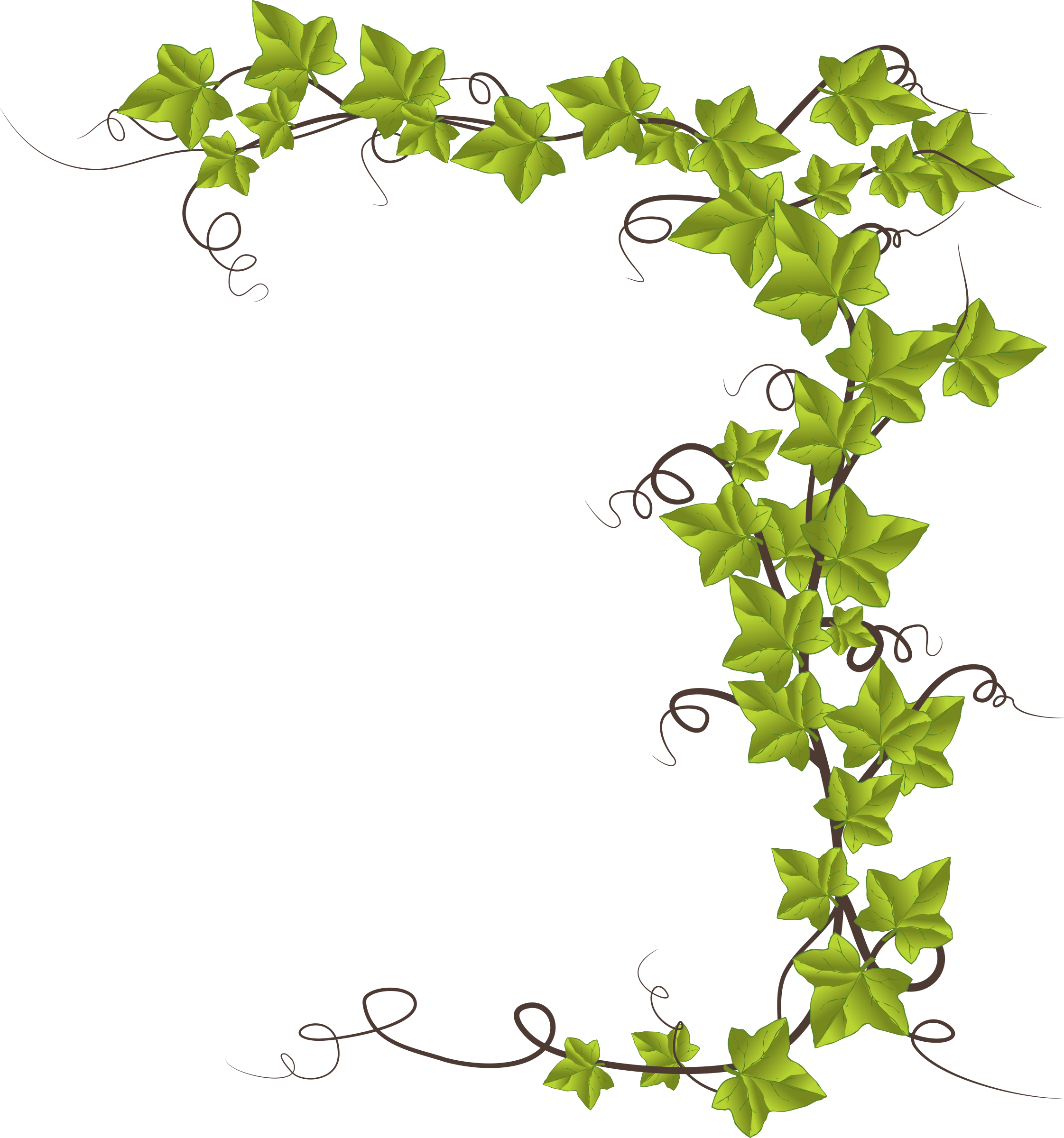 Ivy Clip Art With Pictures Medium Size - Monkeyshine Wine I Do Yoga - Just Kidding I Drink Wine (2243x2400)